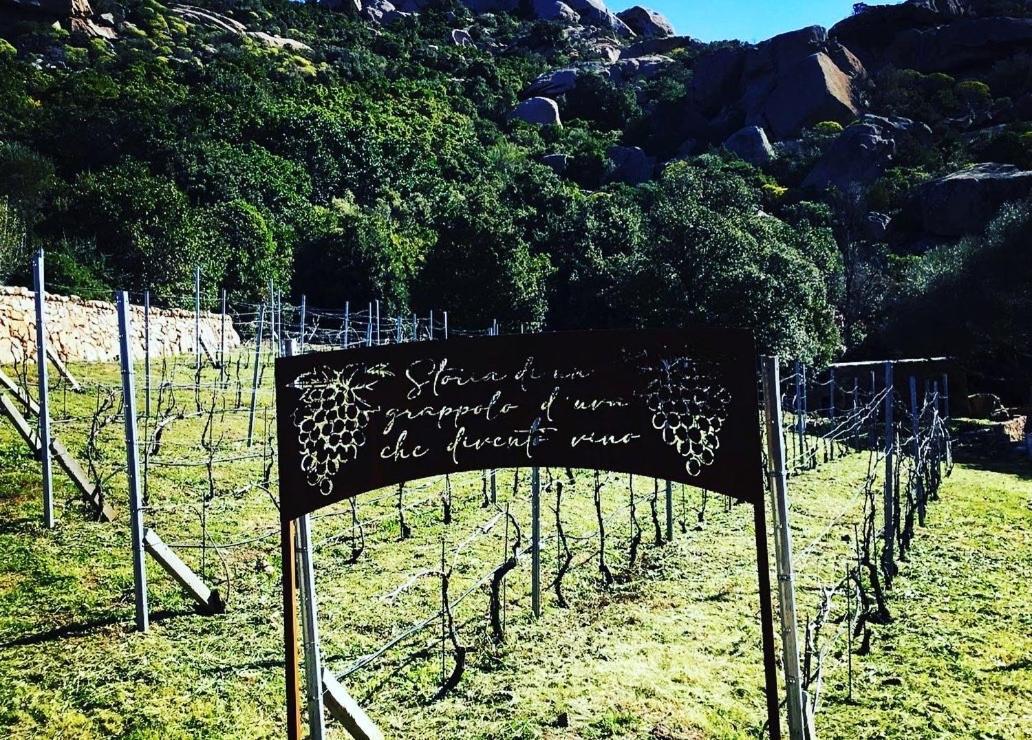 Tenuta Petra Manna Palau Kültér fotó