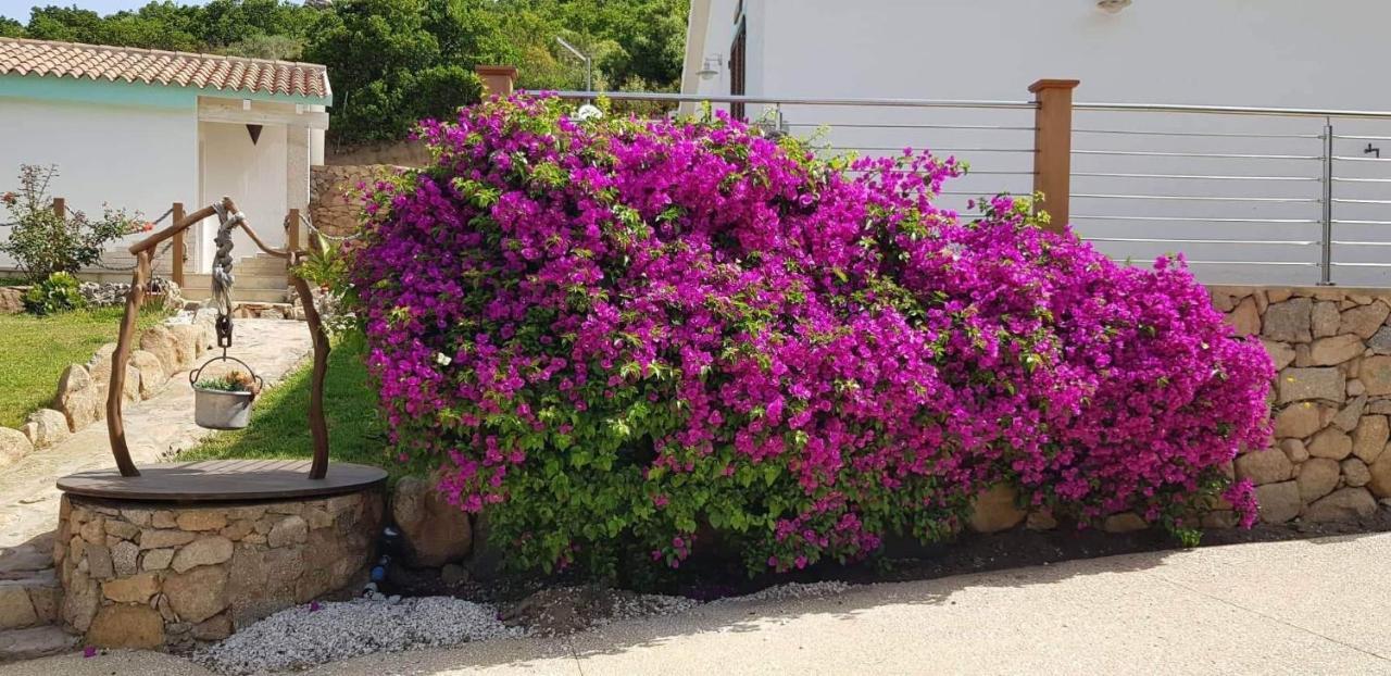 Tenuta Petra Manna Palau Kültér fotó